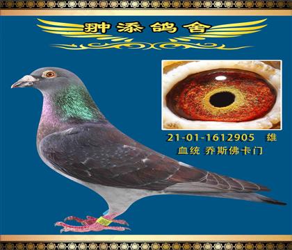 r(sh)ӡnC(j)˹T905