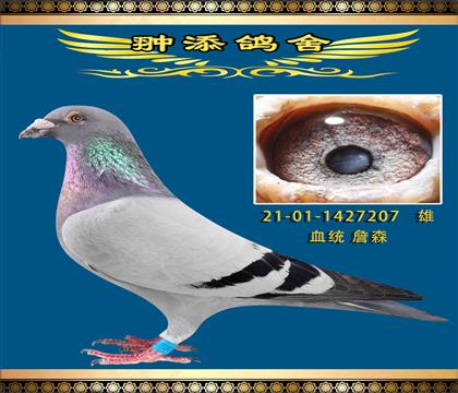 ղɭp۶дc(din)x207