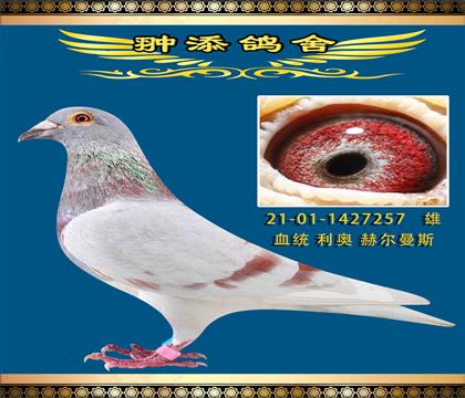 һP(gun)ϰW257
