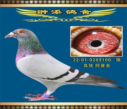 HѪ100