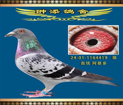 HѪ419