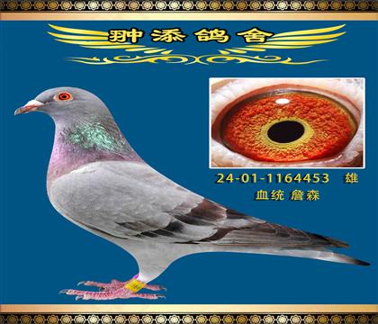 ղɭ(zhn)o(w)h(hun)ĸ453