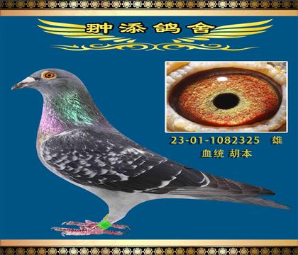 피(j)325