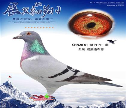 ϲīƶȫֵ