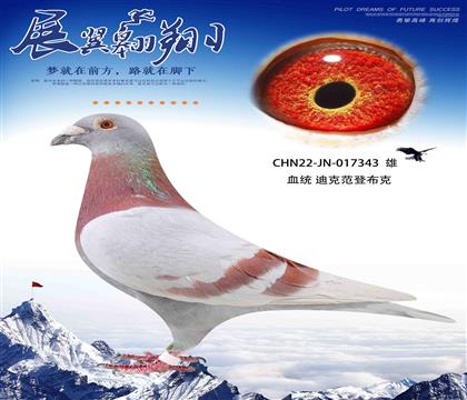 Ͽ˷ǲ343