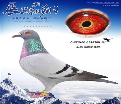 ϲīƶֱŮ200