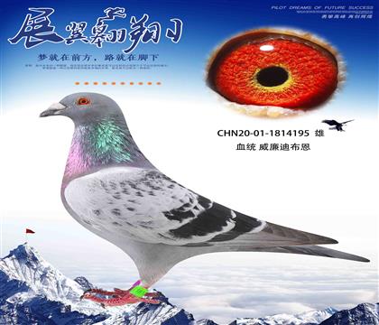 ϲīƶֱŮ