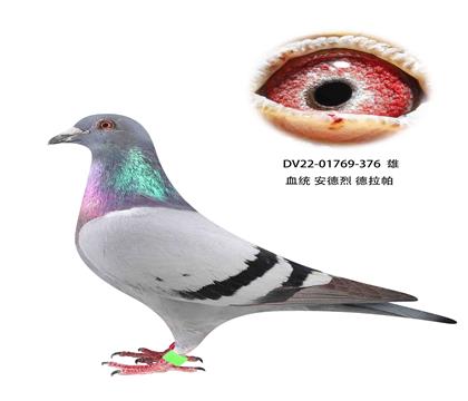  376