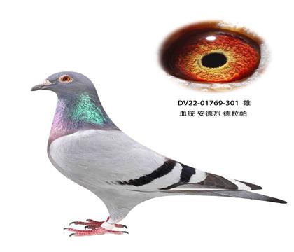  301