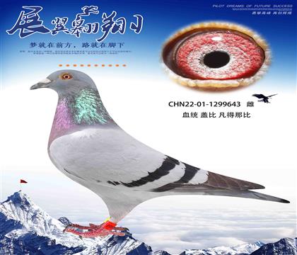 w ǱD(zhun)wλѪϵ643