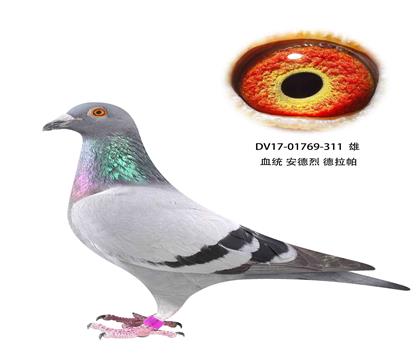 ҵ311