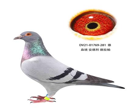  281