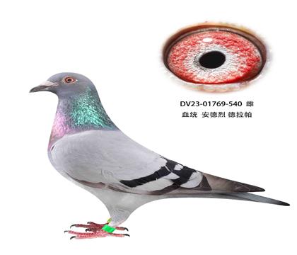  540