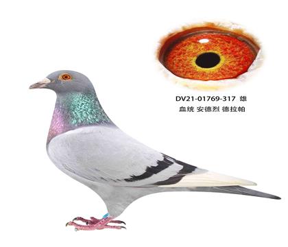  317 ǲ