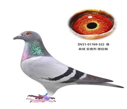 322