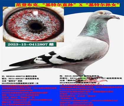 Ͽ˷ǲˡؠֱOXؠOŮ