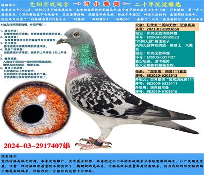 ˡoHֱOXˡr(nng)111ֱŮ