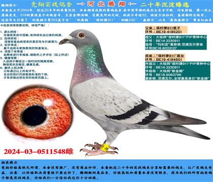 Hr(sh)911ֱXr(sh)911ֱŮ