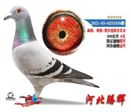 ĸ