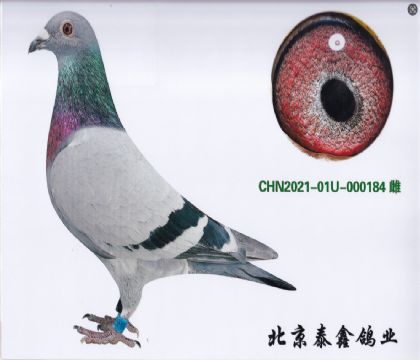 5.自身金友四關(guān)綜合125名