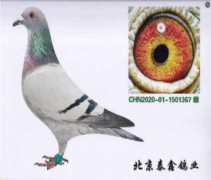 9.自身眾益陽光第四關(guān)院內(nèi)22名