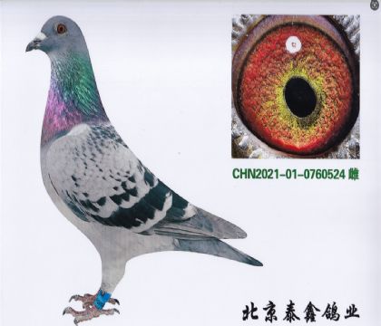 17.長陽50名平輩