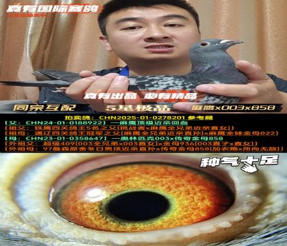 ͬڻ䡷x003x858