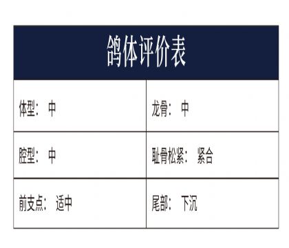 0559403yu