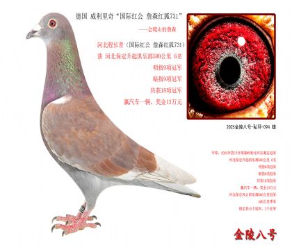5 桰Ht ղɭt731