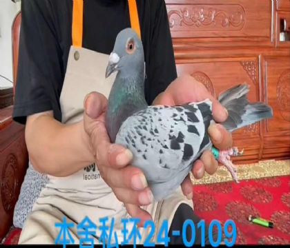 私環(huán)利奧雌0109