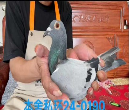 私環(huán)范登布克雌0190