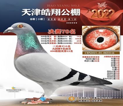 蹫Qِ70
