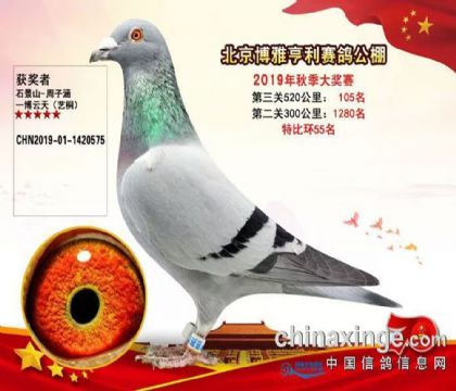 北京博雅亨利公棚520公里決賽105名 雄