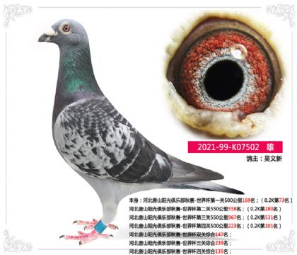 河北唐山陽光俱樂部秋賽-世界杯四關(guān)綜合135名 雄
