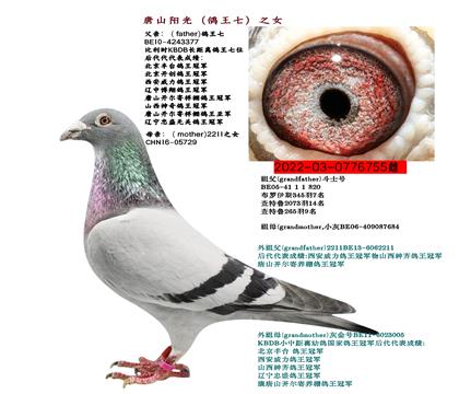 ĸH