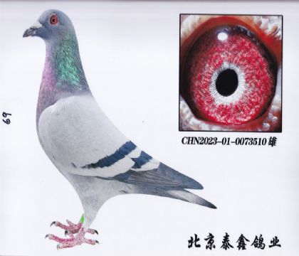 3.ߗՠN