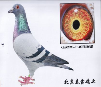 4._(chung)P(gun)C130ȫƽ݅