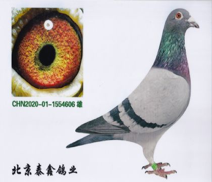 14.P(gun)C40ƽ݅