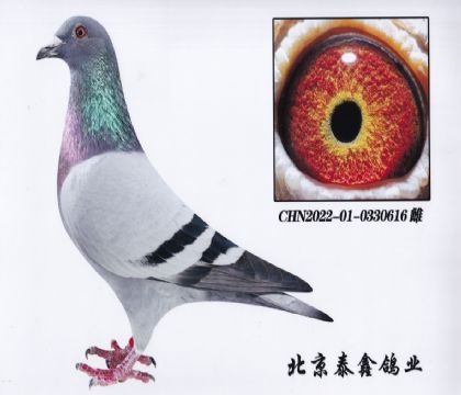 24._9ϵ