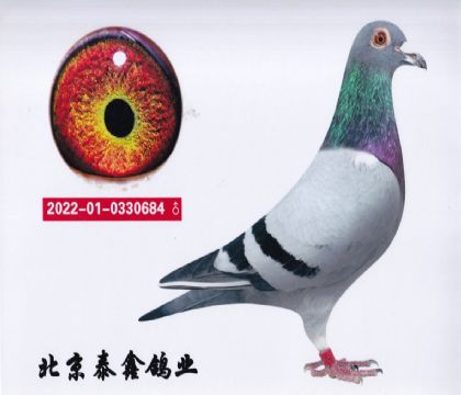25.P(gun)C31ƽ݅