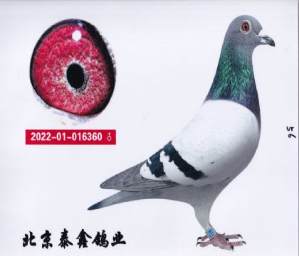26.P(gun)܊P(gun)9ȫƽ݅