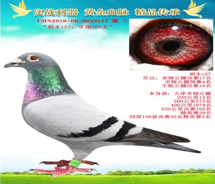 “胡本157.卓翔105名”