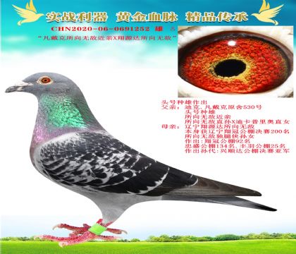 “凡戴克頭號(hào)種雄X翔源達(dá)所向無(wú)敵”