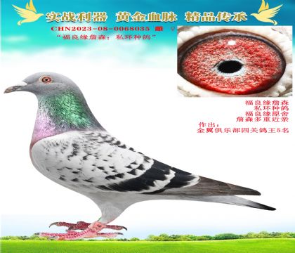 “福良緣原舍作出.詹森私環(huán)”