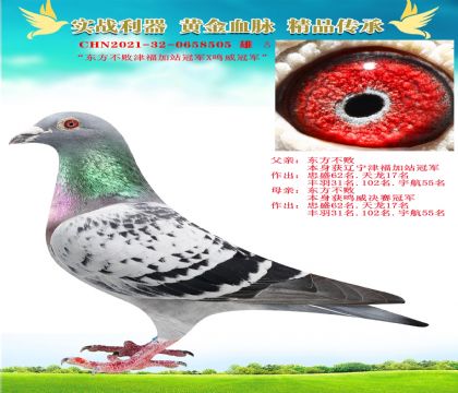 “東方不敗津福加站冠軍X鳴威冠軍”