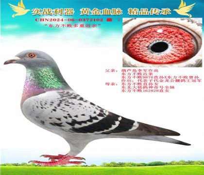 “東方不敗多重近親”