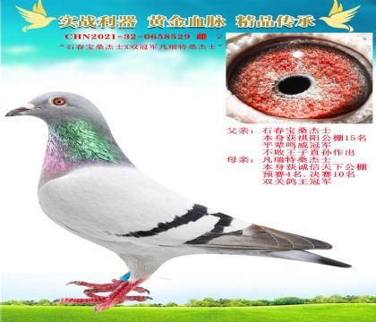 “石春寶桑杰士X雙冠軍凡瑞特”