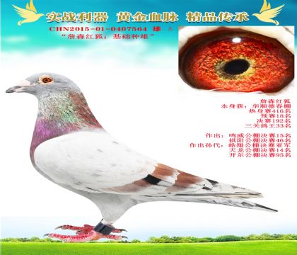 “基礎(chǔ)種雄.詹森紅狐”