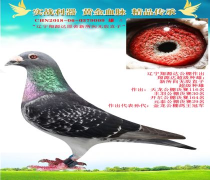 “遼寧翔源達(dá)作出所向無(wú)敵”
