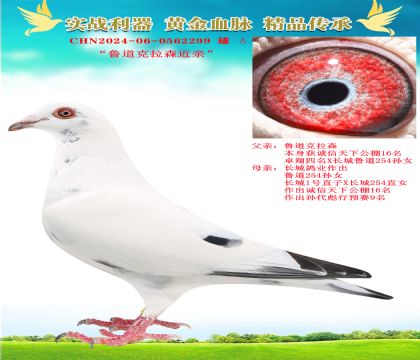 “魯?shù)峡死四缸咏H”